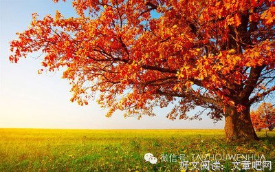 关于收藏的优美句子