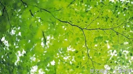 美句名句欣赏