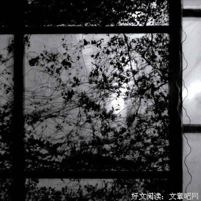 夜清歌的名句