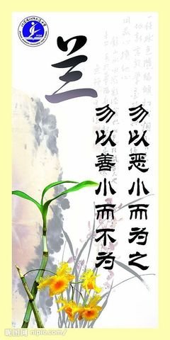 最全的孩子帮的名言