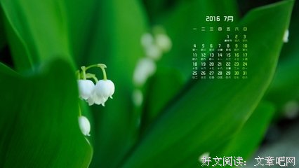 找个能陪你聊天的人很重要