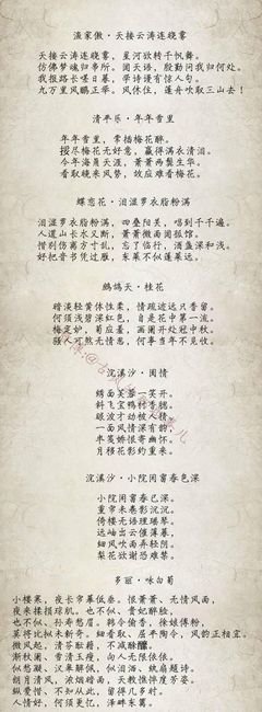 最新的李清照名言