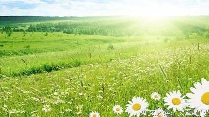 最全的徐志摩经典语录
