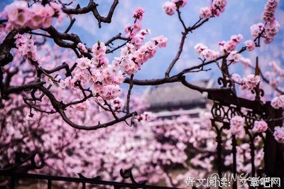 最经典的《多情剑客们能你情剑》经典句子