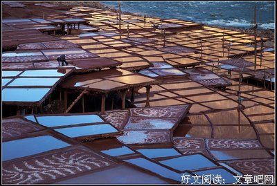 最经典的《莱博维兹的赞歌》经典语句