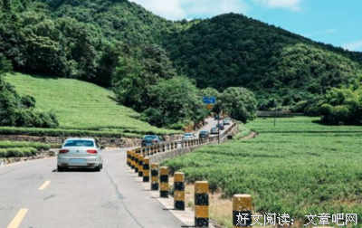 最经典的《有顶成民西子家族》经典的句子
