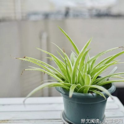 看清一个人,这四点就够了