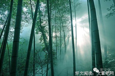 最经典的《一剪宋朝的时光》语录摘抄