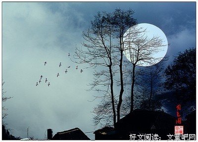 最全的《佛经》经典语句