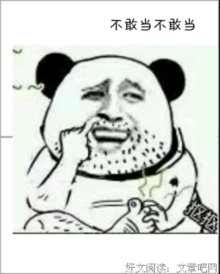关于小妞的格言