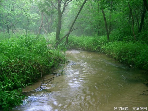 大青的句子