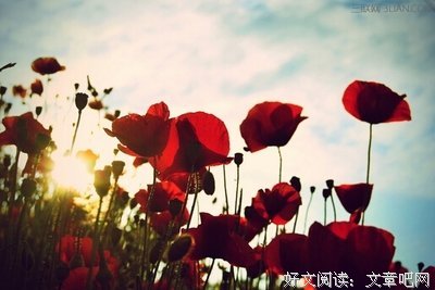 15条关于郑重的经典语句