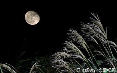 关于青果的优美句子