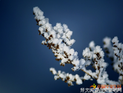 关于汇集的句子