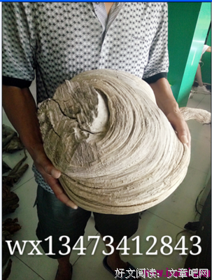 孤独与爱好词好句