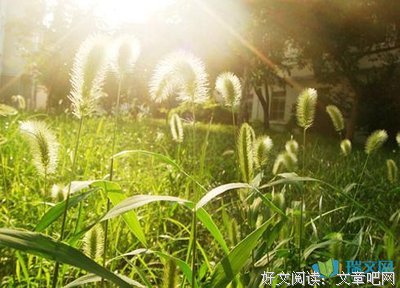 早已心死经典名句