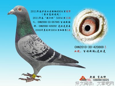 雨坤集句子