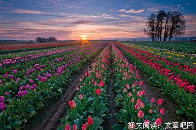 《城北旧后来军的实》的句子