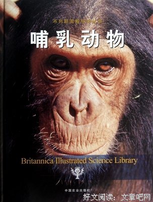 关于沈石溪的格言