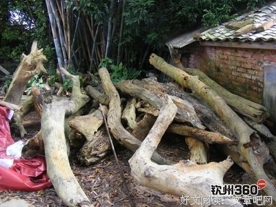 有关独木舟的名句