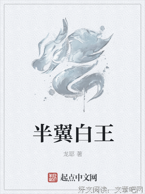 最经典的《半翼》经典名句