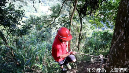 《人间世2》：“你就是死了，也要给我生儿子”