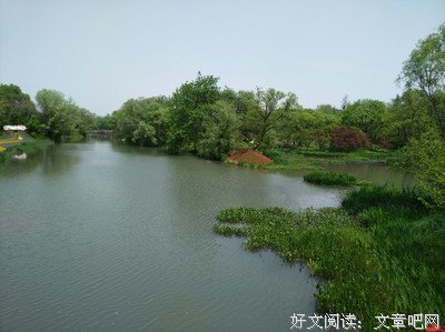 《战骨》好段摘抄
