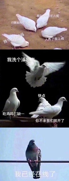 ▷微信强制更新：往事清零，爱恨随意。