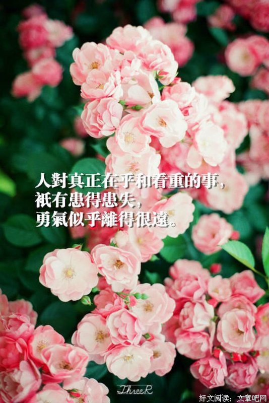 最新的《歌词》好段摘抄