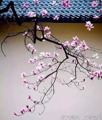 最全的《汉书》名句欣赏