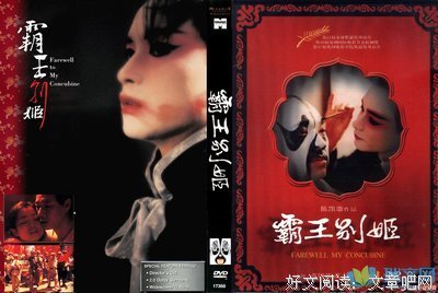 最新的《烟花》经典名句大全
