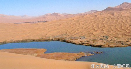 最新的《繁花》小说句子大全