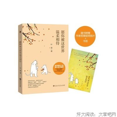 最全的《纸婚》语录摘抄