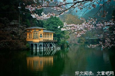 最全的《背叛》经典语录