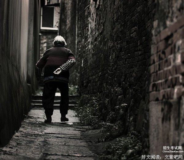 最全的《背影》经典句子
