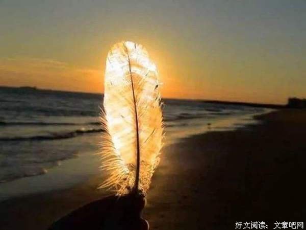你说你很累，可谁又活得顺风顺水呢？