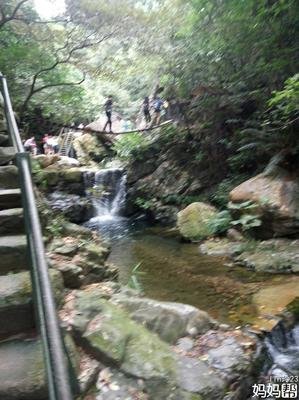 婆媳交锋：谁能活到最后一集？