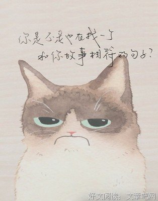 喜欢的歌词台词