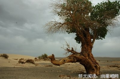 关于亿万系列的句子