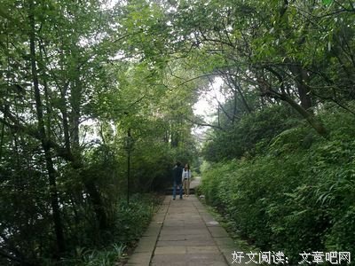 美言经典的句子