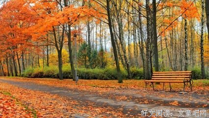 《席慕蓉》的句子