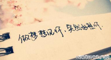 关于喜欢的句子