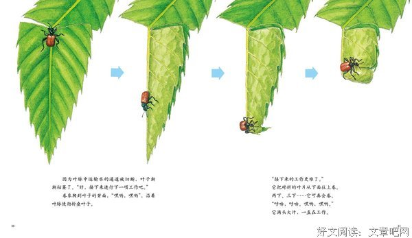 最新的《蝉女》经典语录