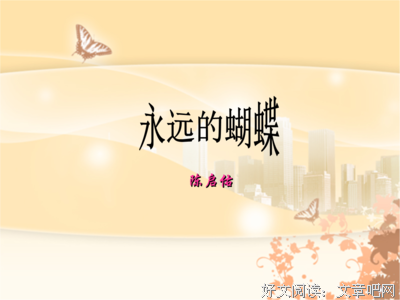 《蝴蝶》小说句子大全