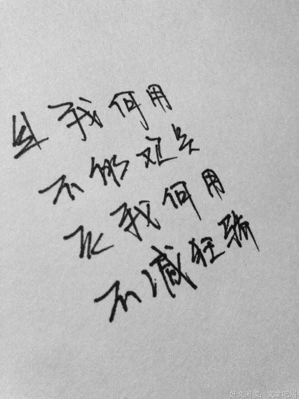 最经典的《重生》小说句子