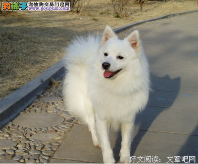 最全的《银狐》经典语录