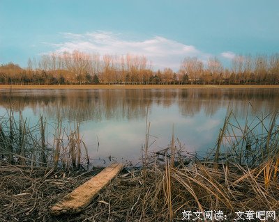 《青蛇》好段摘抄