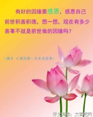 最经典的《在人间》经典的句子大全