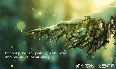 最新的《孤城闭》好段摘抄
