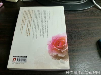 最新的《小团圆》经典语录大全